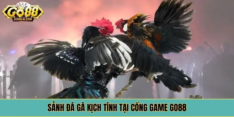 Sảnh đá gà kịch tính tại cổng game Go88